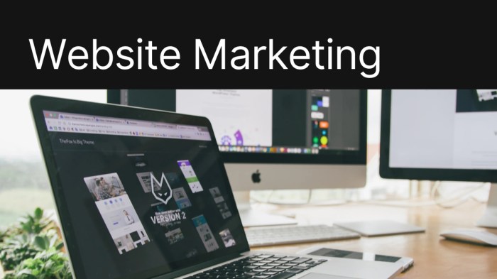 Website Marketing