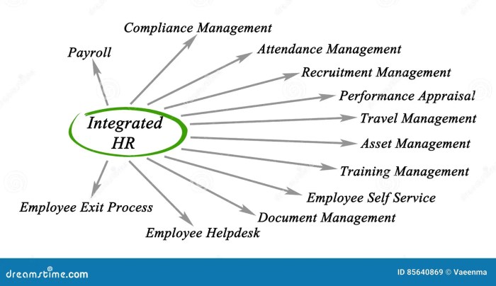 Reasons integrated hr