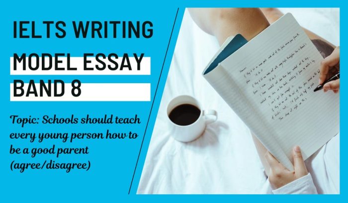 Ielts essay writing task teaching structure wills apr activity david posted