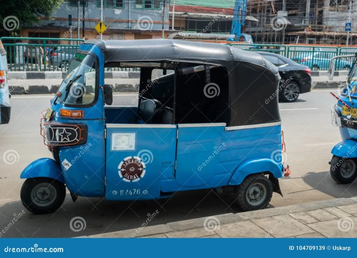 Tuk Tuk Adventure